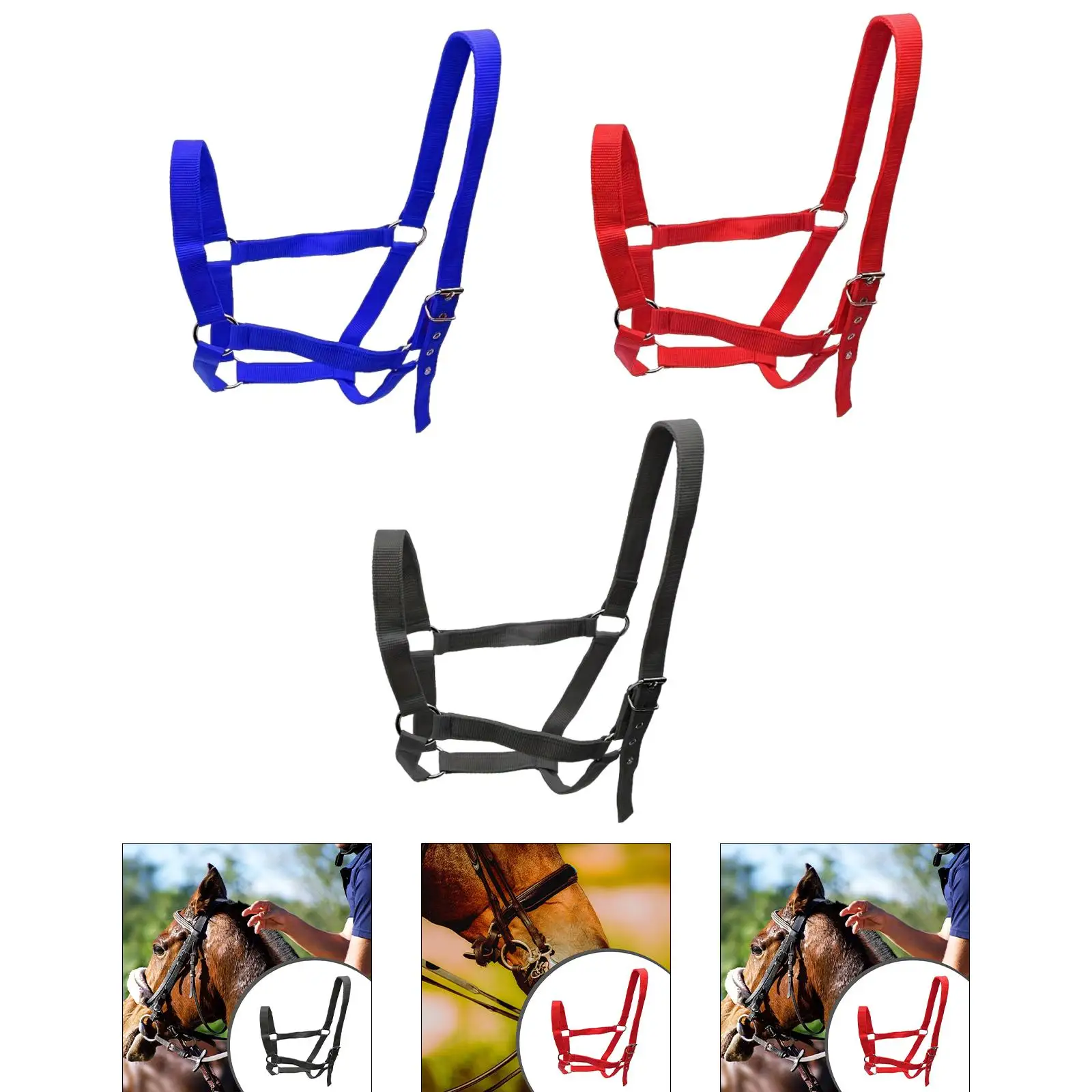 Horse Halter with Padding Durable Rope Training Bridle Adjustable Harness for Farm Grassland and Sports Horse Halter with Padding Durable Rope Training Bridle Adjustable Harness for Farm Grassland and Sports