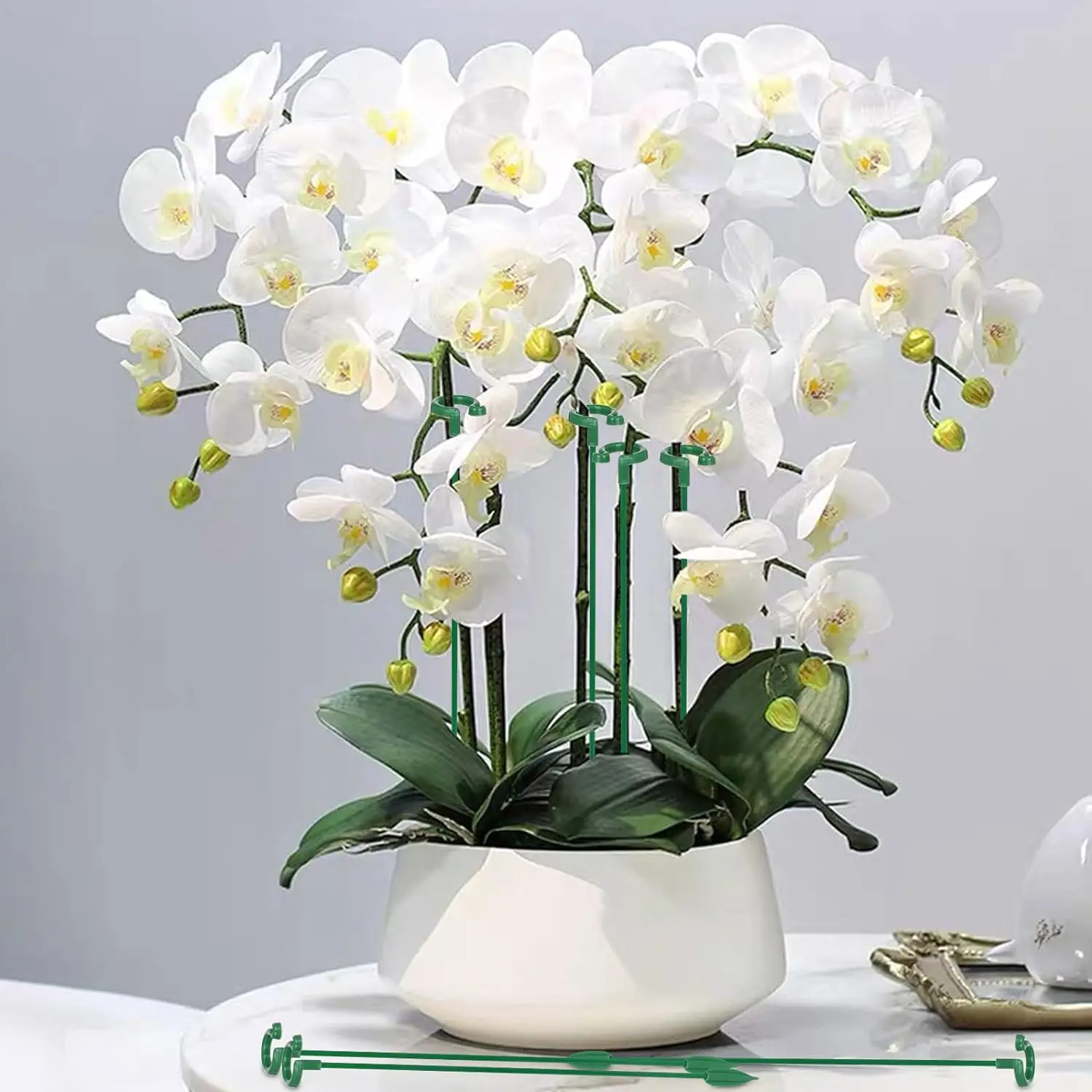 Plant Supports Stand Butterflies Orchid Flower Potted Rods 5/10PCS
