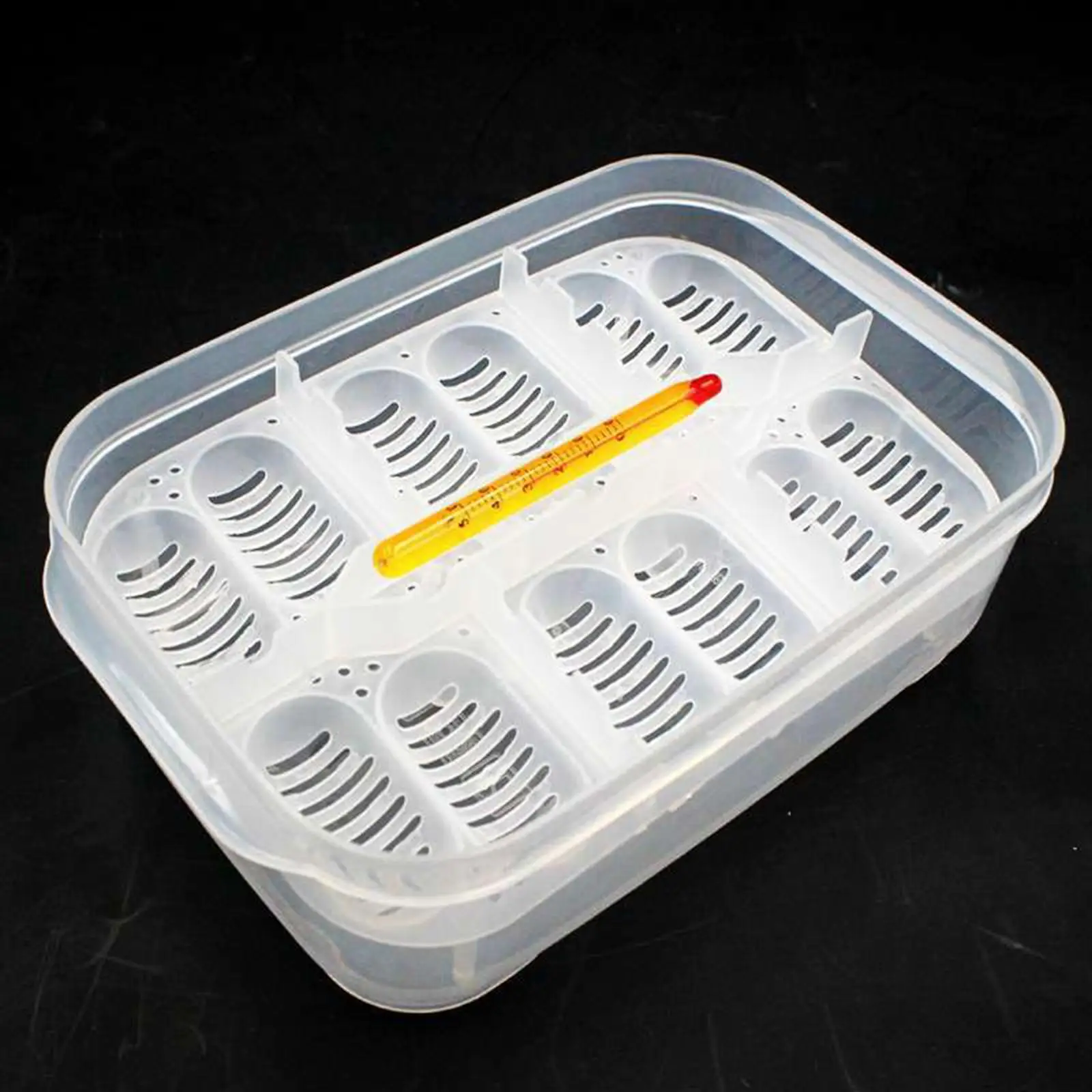 Reptile Breeding Box Incubator Suspended Hatchery Box Tool DIY Container for Hatching Incubation Breeding Supplies Turtles Gecko
