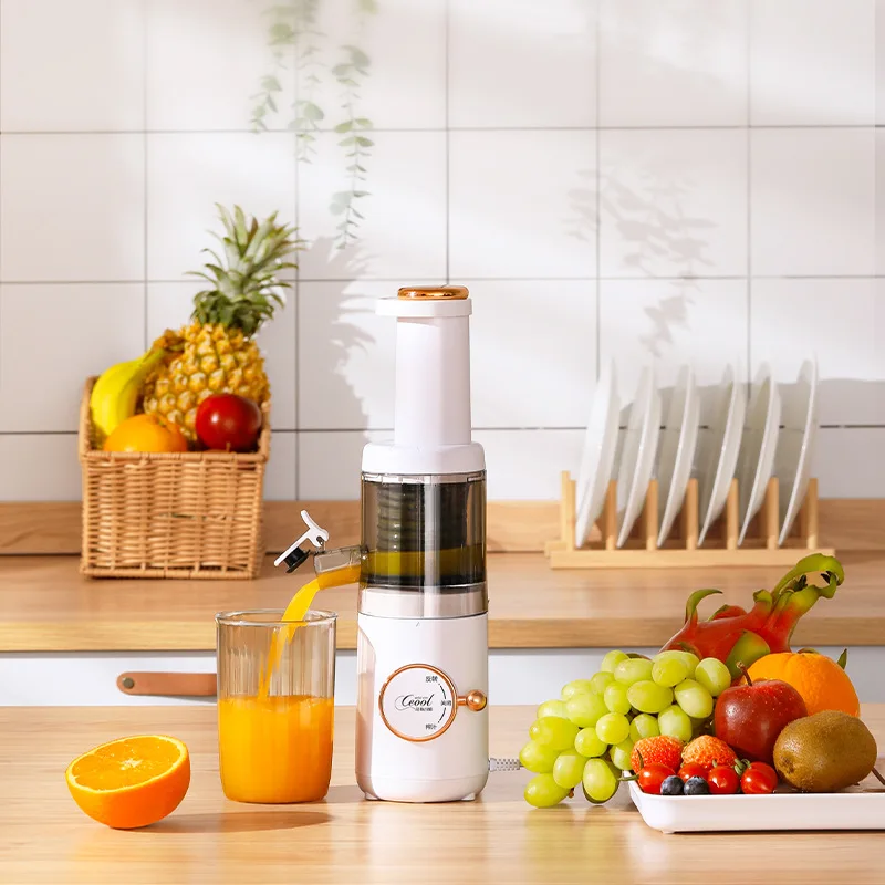 2023 Electric Fruit Vegetable Juicer Machine Mini Slow Juicer Screw Cold Press Extractor Patented Filter-Free Modle-Portaable