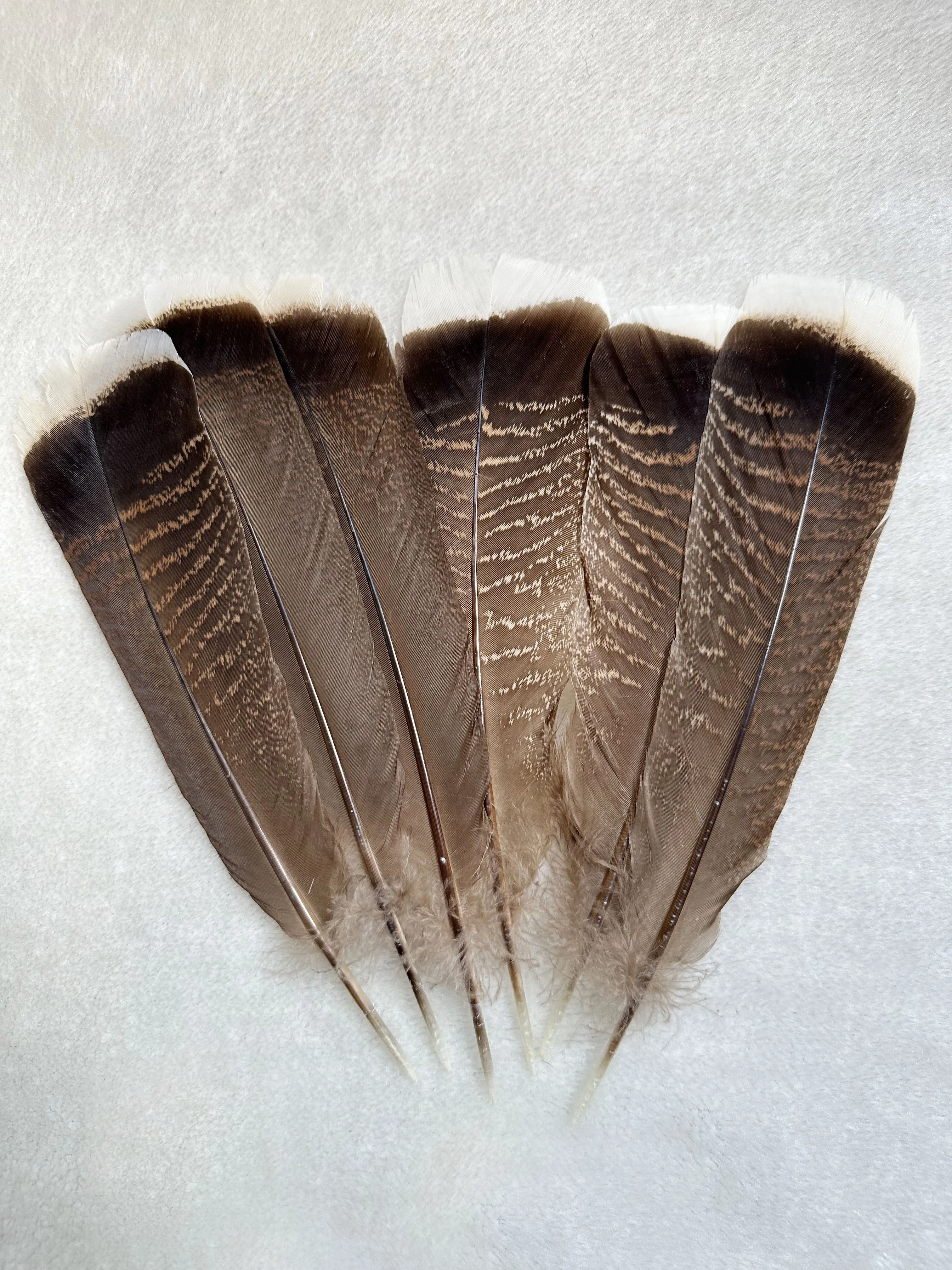 25-30cm