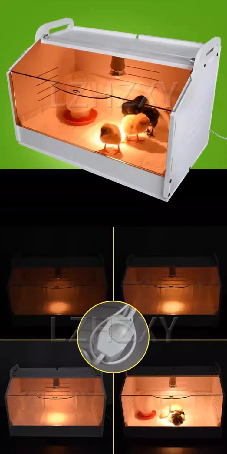 Chick Incubator, Quail/Duckling Heating and Incubation Box, Poultry Farm Incubat