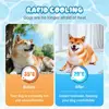 2025 New Dog Cooling Mat Summer Washable Portable Pet Coolings Pad For Dogs Cat Ice Silk Blanket Sofa Breathable Sleeping Mat 4