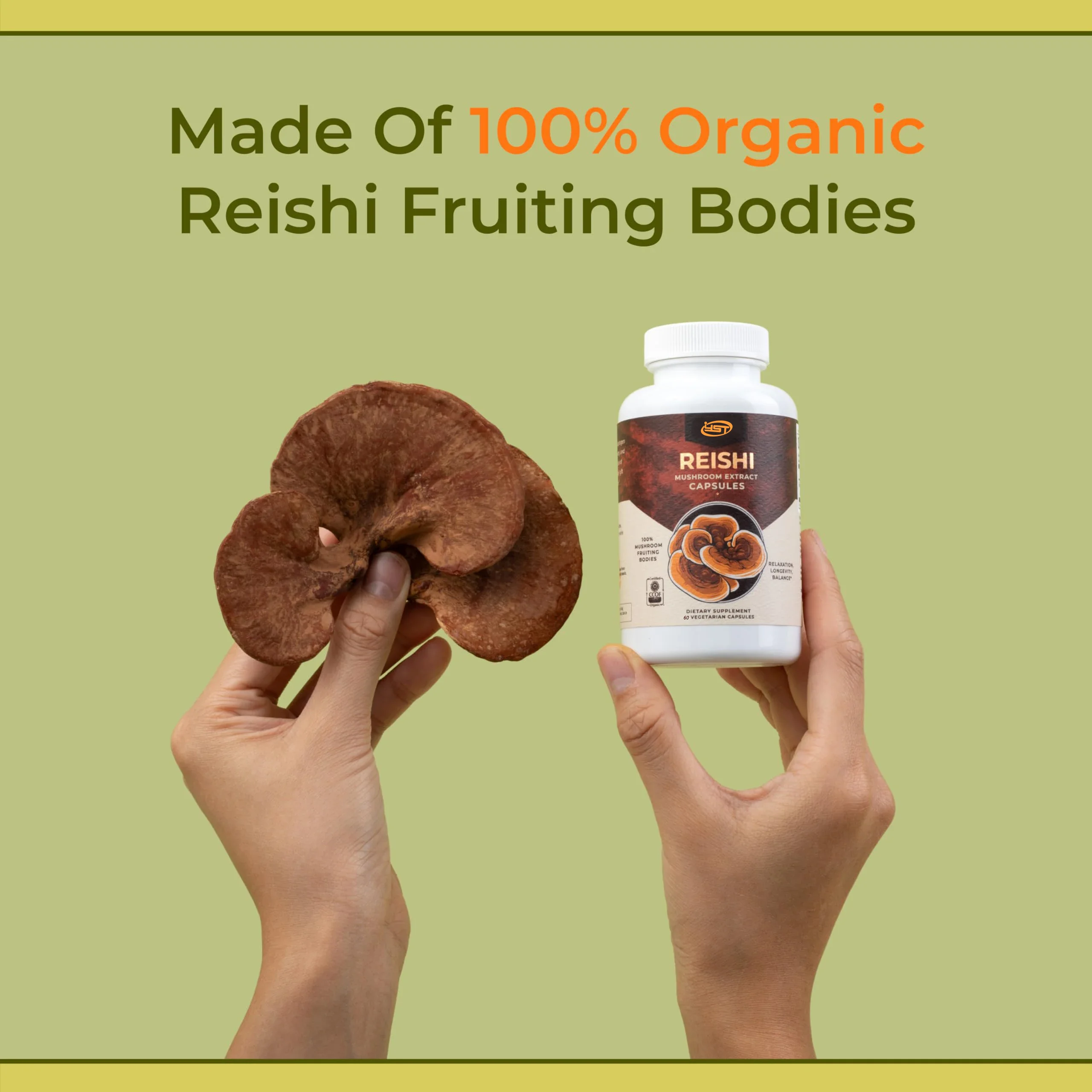 Health Supplement Ganoderma lucidum natural adaptive agent regulates restores body relieves stress immunity