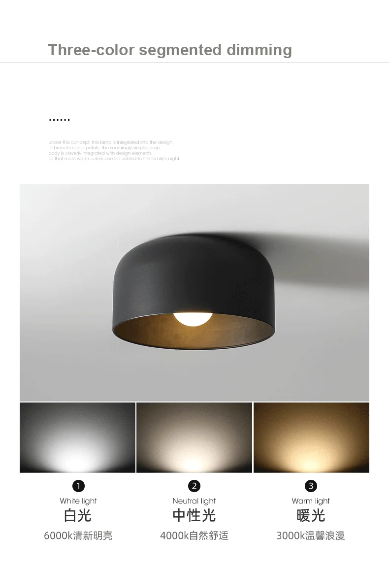Minimalistische LED ovale halb eingelegte Deckenbeleuchtung Home Decor Korridor E27 Deckenleuchte Dekoration Innenflur Dekor Licht – Detail 4