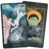 10.3*6cm The RainShadow Tarot A 78-card Deck of Original Paintings and Hand-cut Collage Artworks Illustrating The Tarot 1