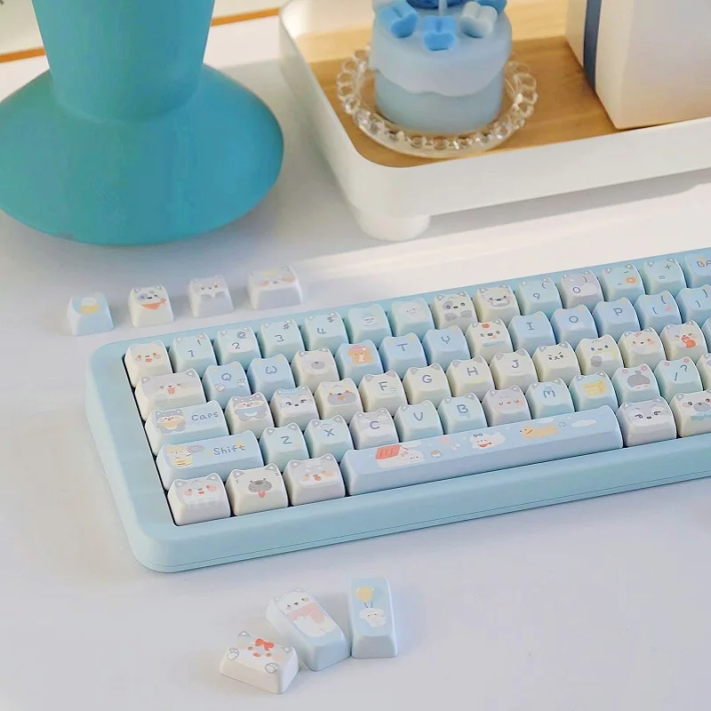 bonito Pet, Gato e Cão Padrão, PBT