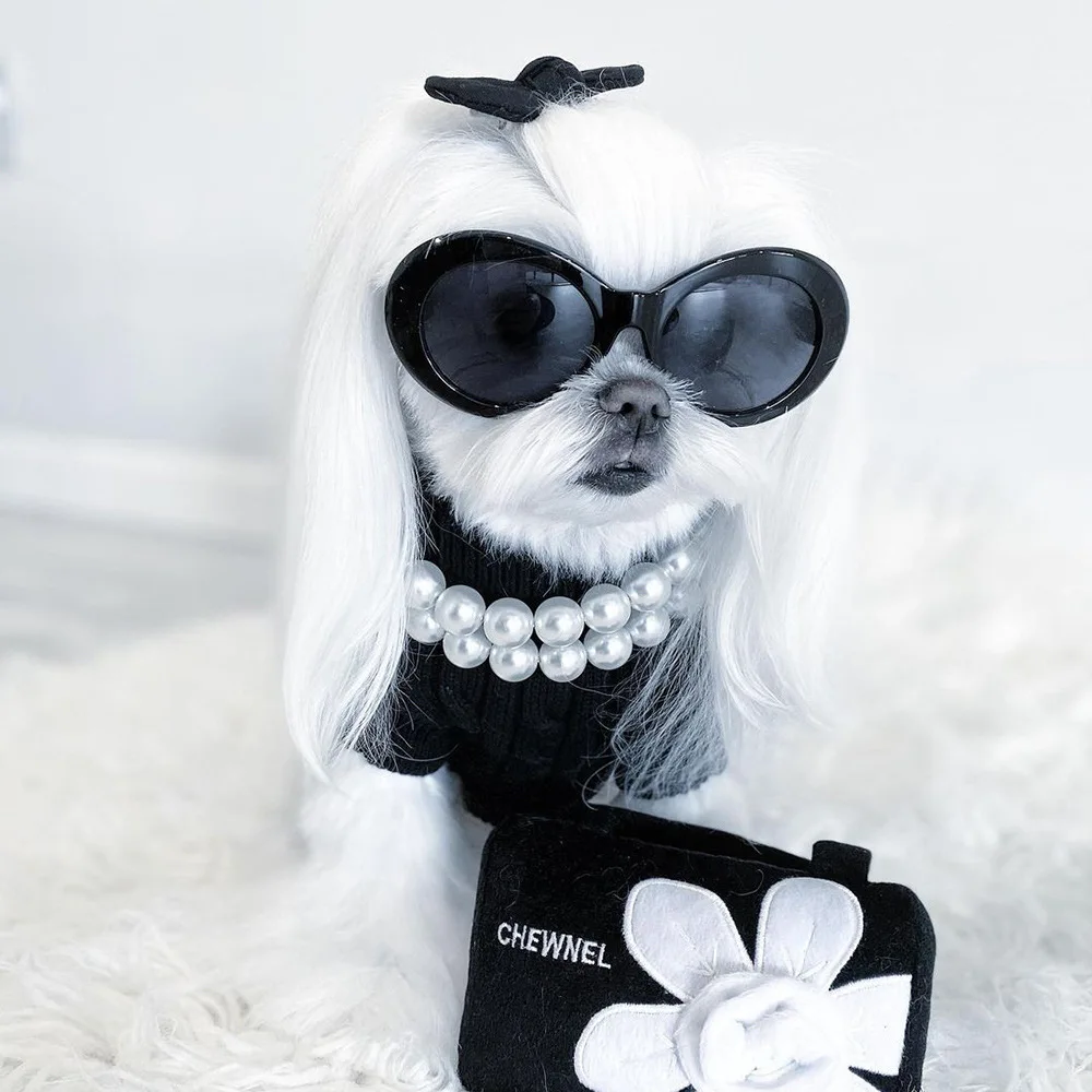 

Delicate Imitation Pearl Durable Pet Collar, French Bulldog Schnauzer, Small and Medium Dog Accessories, Rope Pearl, New