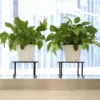 1Pc Metal Plant Stand Flower Pot Base Holder Stool for Home Garden Indoor Outdoor Flower Plant Display Bonsai Holder 2