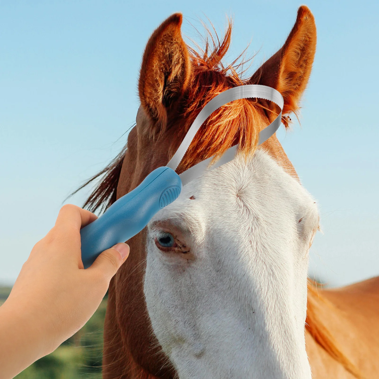 

Horse Brush Hair Remover Grooming Kit Shedding Blade Stainless Steel Scraper Hairbrush Livestock Comb