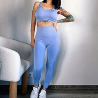Mileegirl 2pcs Sport Sets Women Gym, Push Up Yoga Pants, Hollow Back Gym Fitness Bra, Workout Leggings, Seamless Tights Sets - Image 2
