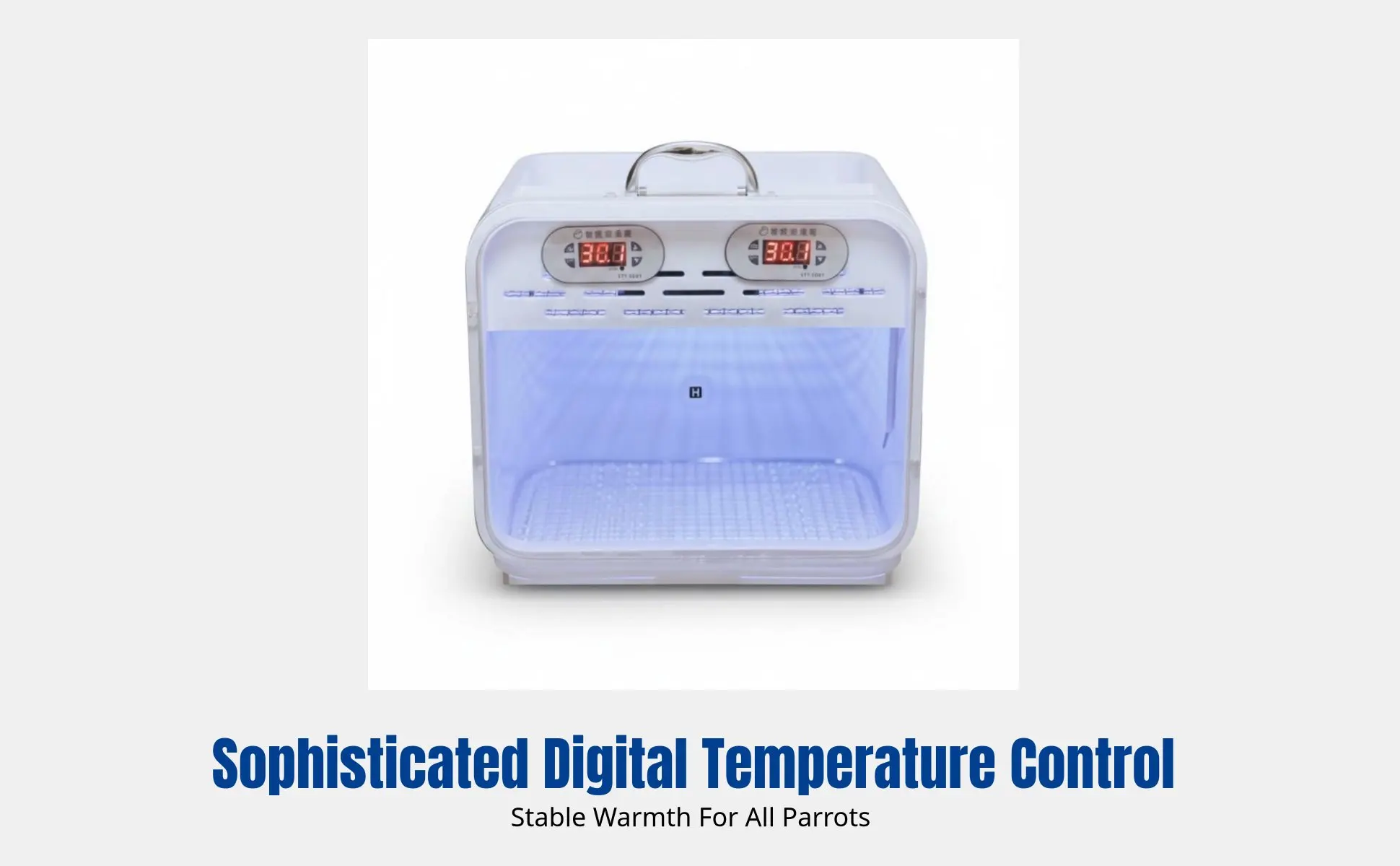 Intelligent Parrot Incubator, Warm Air Brooder, Constant Temperature, Spacious, Quiet, Automatic Ventilation for Young Birds Intelligent Parrot Incubator, Warm Air Brooder, Constant Temperature, Spacious, Quiet, Automatic Ventilation for Young Birds