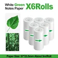 6Rolls Green Paper