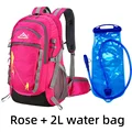 Rose and 2L water