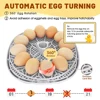 12 Eggs Incubator for Hatching Eggs with Automatic Egg Turner, Temperature Control, Automatic Water Adding for Hatching Chicken,
