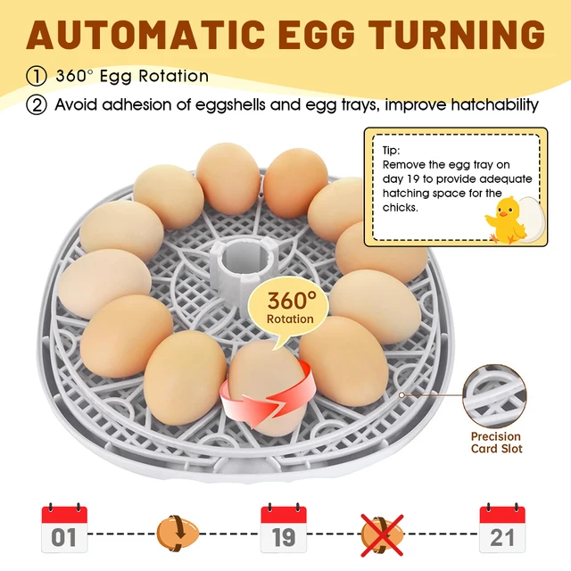12 Eggs Incubator for Hatching Eggs with Automatic Egg Turner, Temperature Control, Automatic Water Adding for Hatching Chicken,