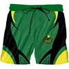 Chechnya Russian Graphic Beach Shorts Men 3D Printing Board Shorts Swimsuit Summer Bermuda Surf Swim Trunks Cool Kids Ice Shorts 5