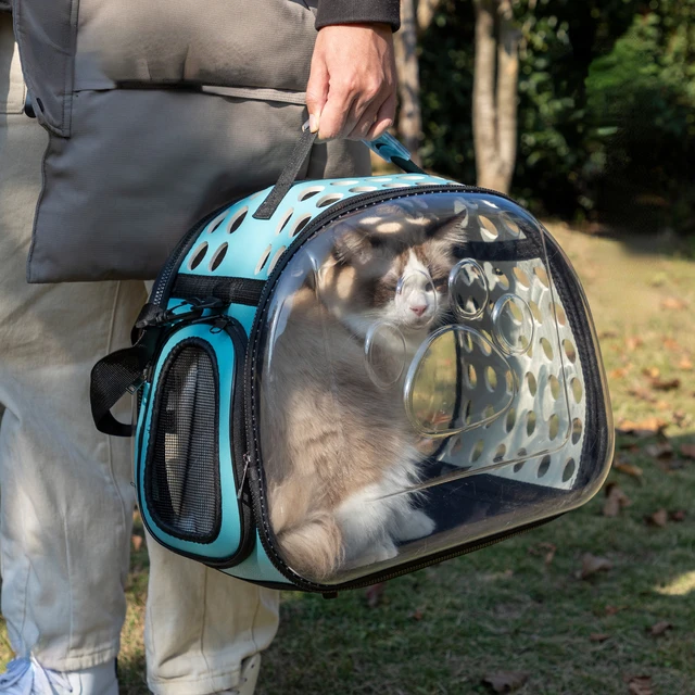New Cat Space Capsule Transparent Cat Carrier Bag Breathable Pet Carrier Small Dog Cat Backpack Travel Cage Handbag for Kitten New Cat Space Capsule Transparent Cat Carrier Bag Breathable Pet Carrier Small Dog Cat Backpack Travel Cage Handbag for Kitten
