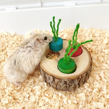 Wood Round Chew Toy for Small Pets 1