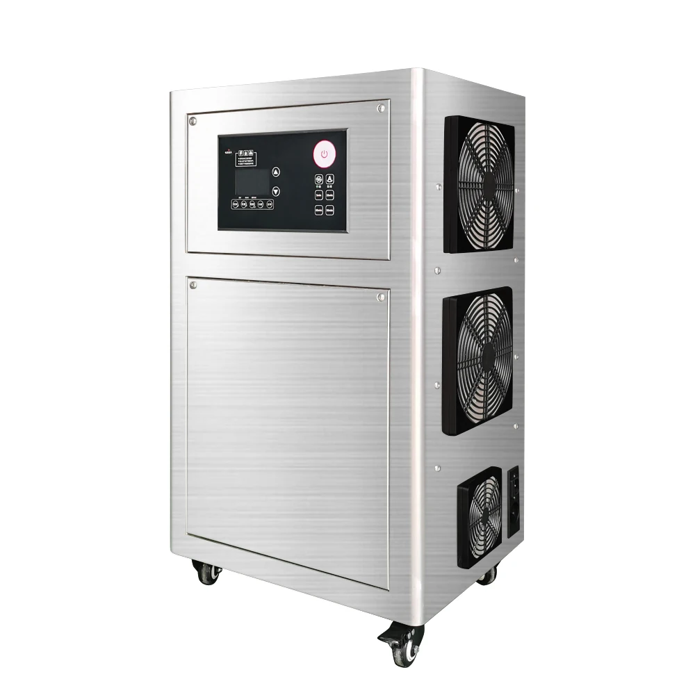 Flygoo 220V 30g 40g 50g Ozone Generator Commercial Ozone Machine With US UK Plug