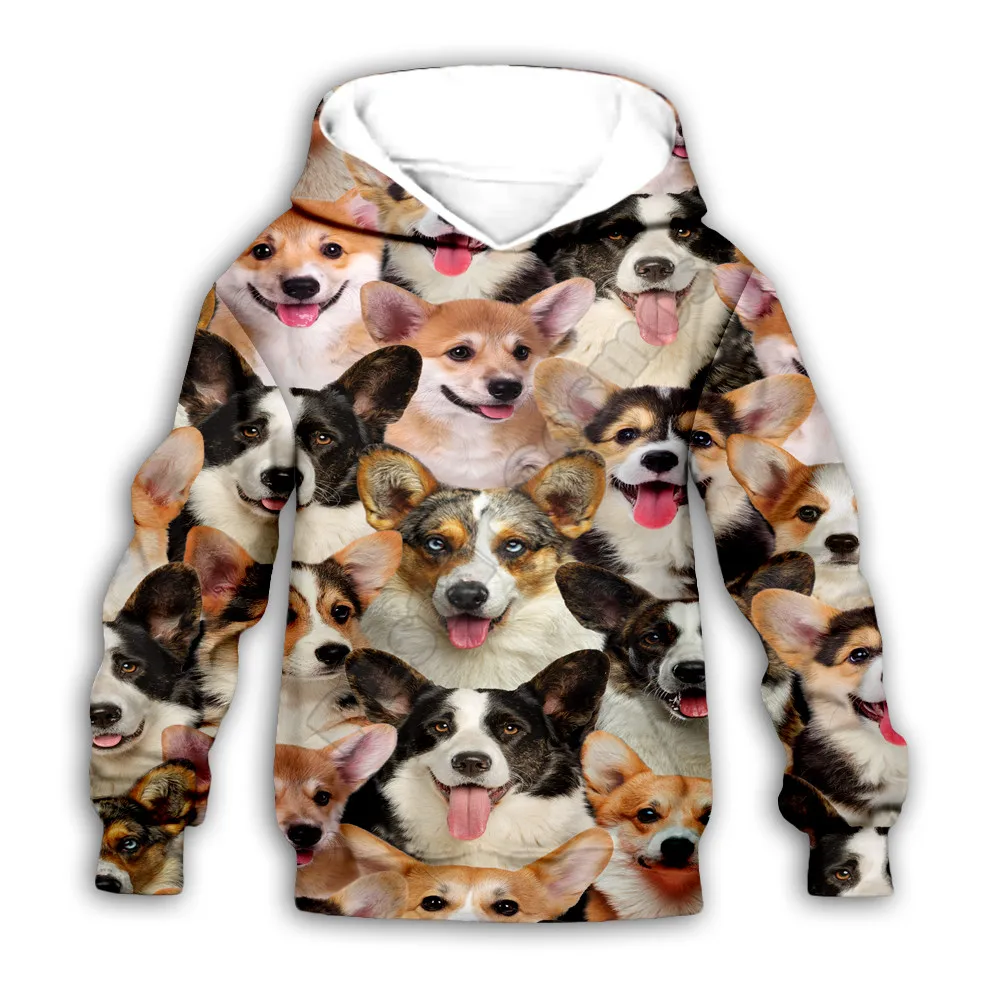 

You Will Have A Bunch Of Welsh Corgies Pullover Kids Clothes Animal 3d printed hoodies Boy For Girl sweatshirt