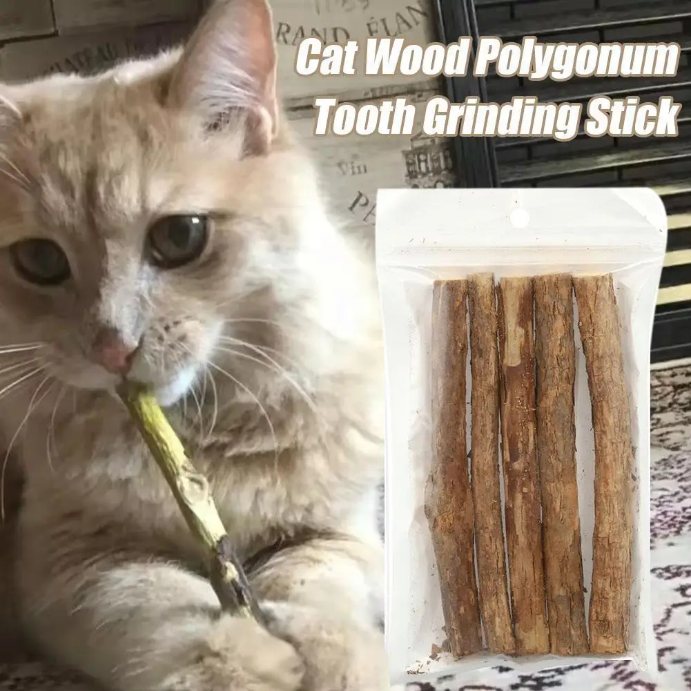 Bastoncini da Masticare per Gatti con Erba Gatta Biologica, Giocattoli e Snack per Gatti, Giocattolo da Masticare per la Pulizia dei Denti dei Gattini, 5 pz/sacchetto - immagine 2