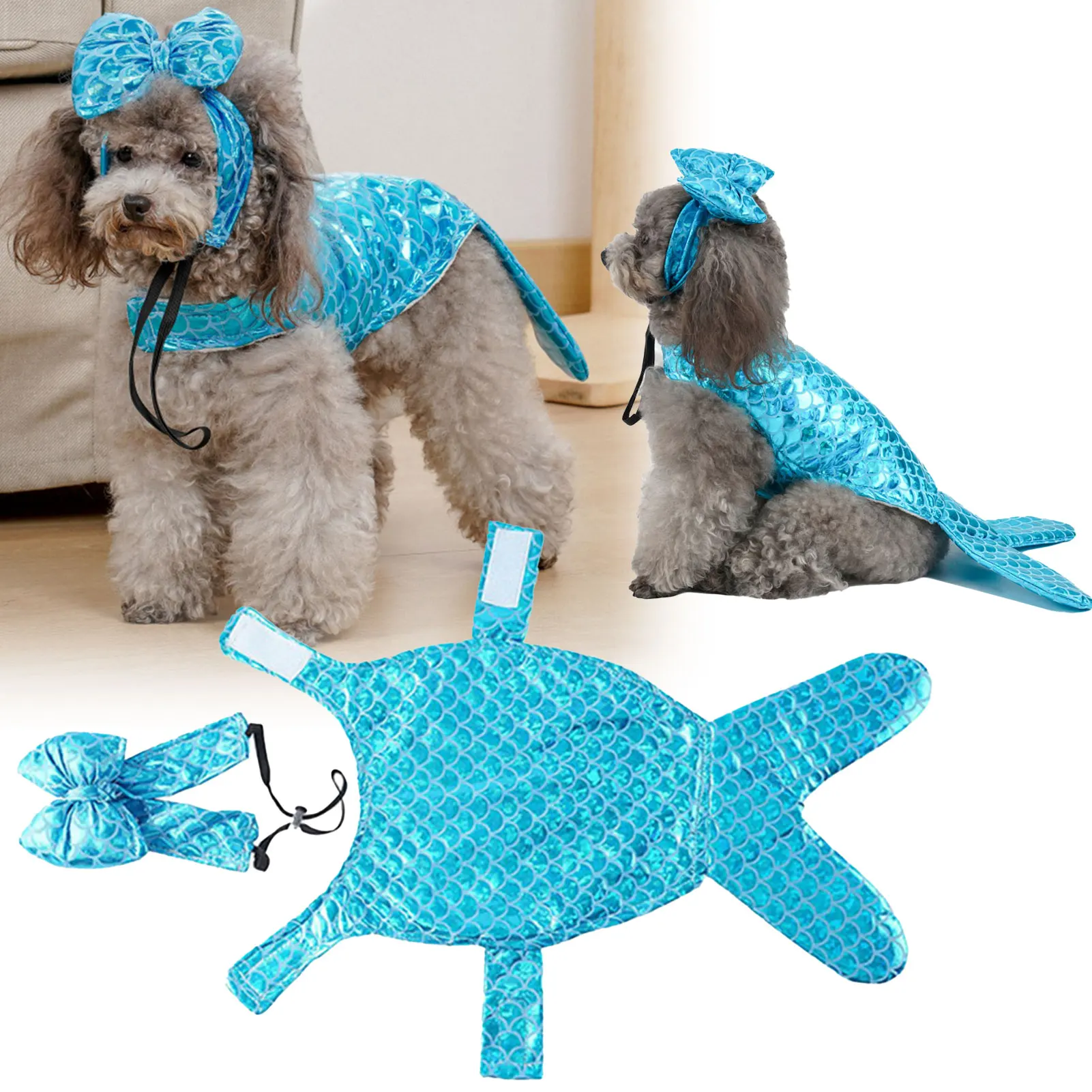 Stylish Novelty Pet Costumes Personalised Unique Funny With