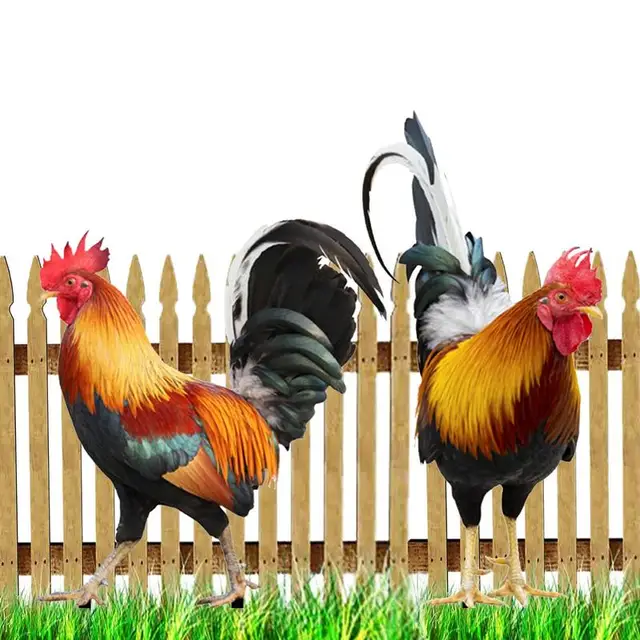 Kakas Dekoráció Kerti Csirke Dekorációk Kültéri Időjárásálló Szobrok Szobrászat Háztáji Terasz Díszhez - Image 5