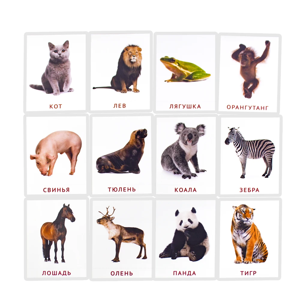 Russian Animals Words Card for Baby 2-6 Years old Enlightenment Teaching tools Montessori Learning Education Cognitive Flashcard 2
