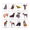 Russian Animals Words Card for Baby 2-6 Years old Enlightenment Teaching tools Montessori Learning Education Cognitive Flashcard 2