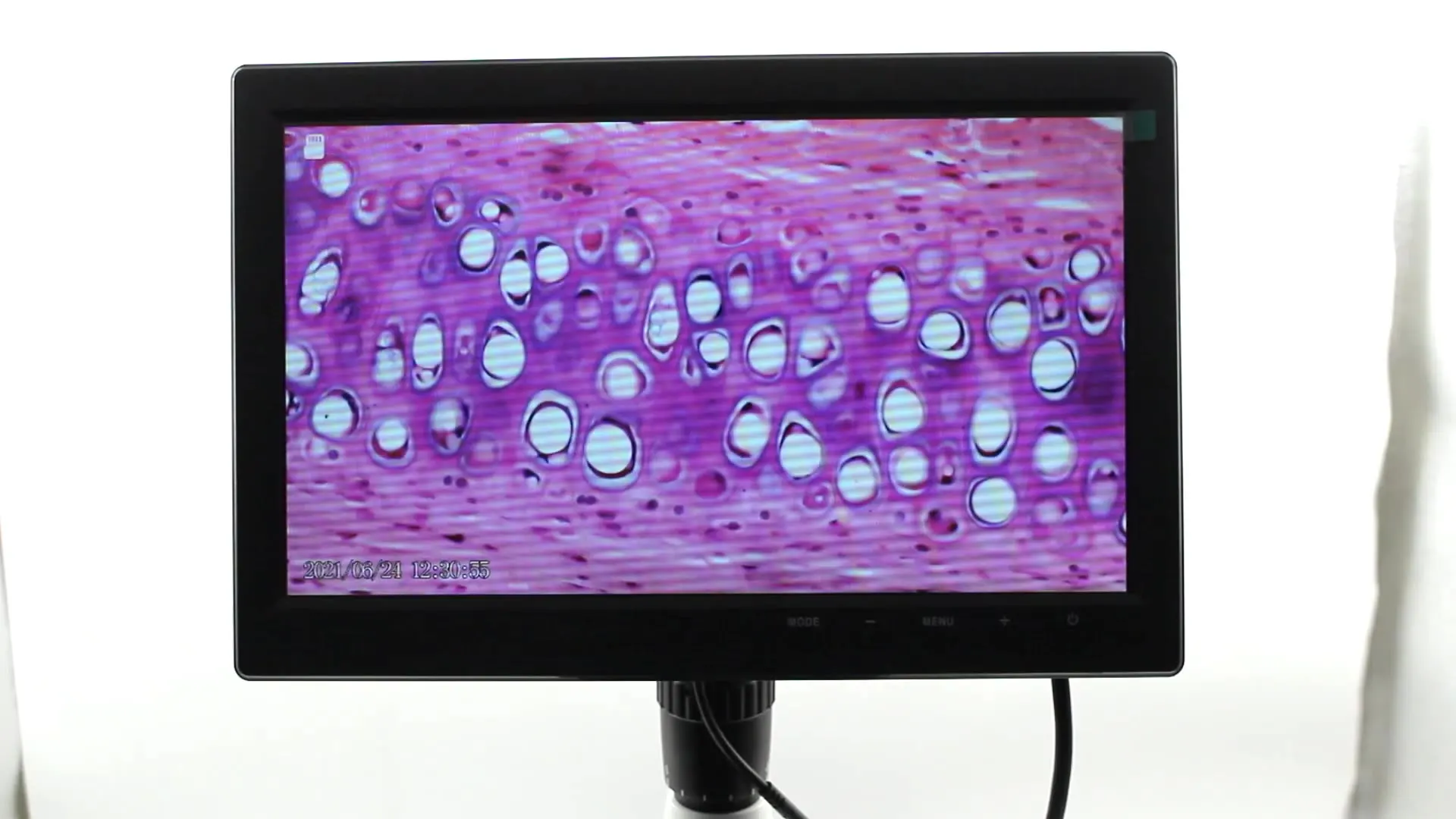 

LHXSP5-10C лабораторное оборудование регулируемый источник светильник/бинокулярный Биологический микроскоп с камерой/цифровой микроскоп