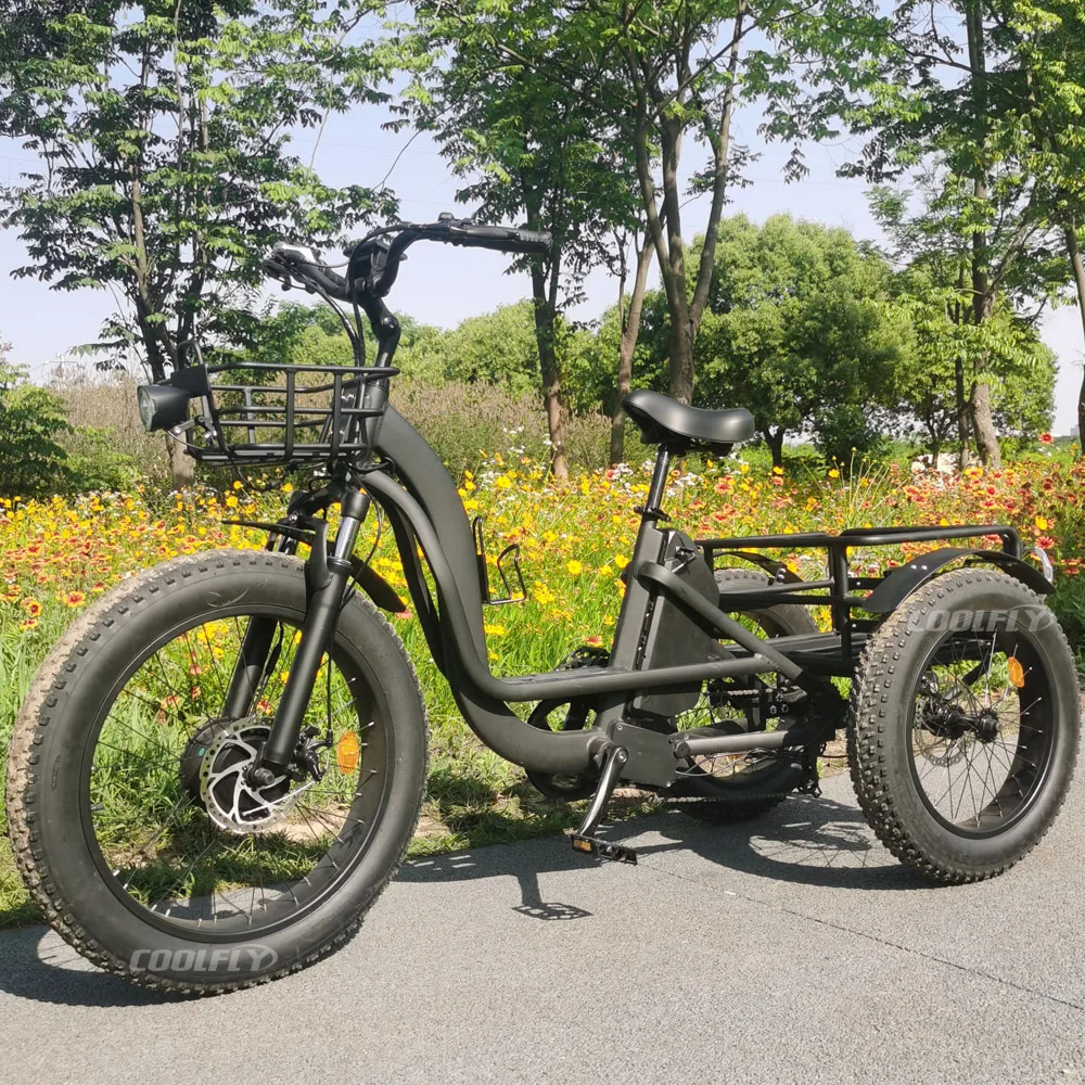 

2024 High Power Tricycles Family Cargo Lithium Battery Three Wheel Electric Bicycle 48v 750w 1000w e Bike for Sale