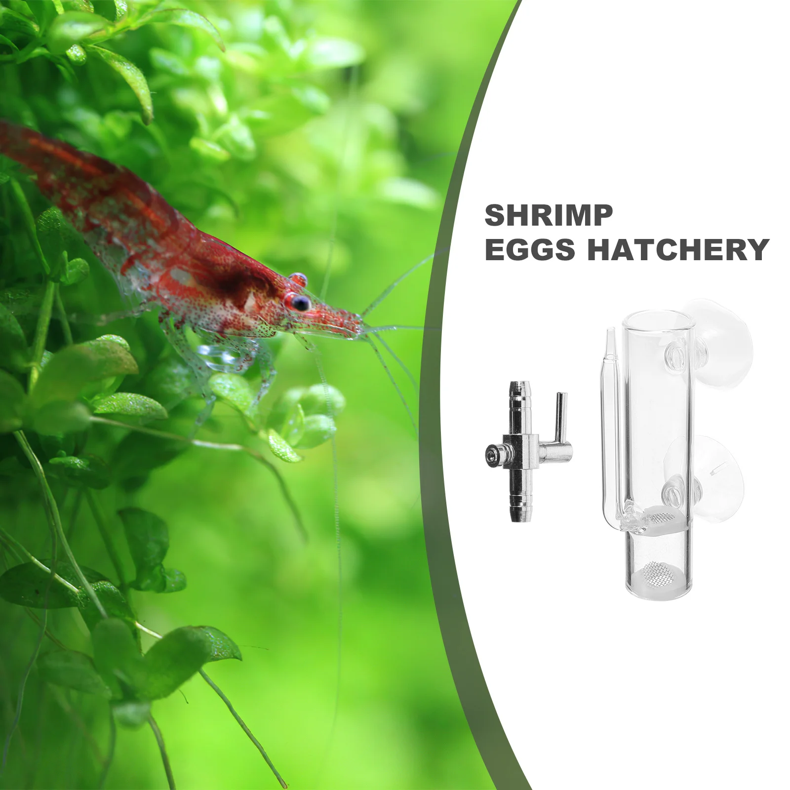 Shrimp Incubator Aquarium Breed Suction Fish Crystal Breeding Holder TankShrimp Egg