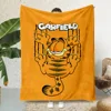 Hot Anime Cartoon Garfields Printed Blanket Picnic Blankets Warm Blanket Soft and Comfortable Blanket Home Travel Birthday Gift 5