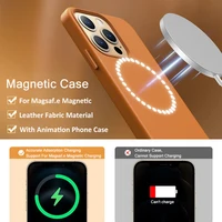 Official Animation Leather Magsafe Case For iPhone 15 14 13 16 Pro Max 16 Plus Magnetic Wireless Charging Phone Cases Back Cover 2