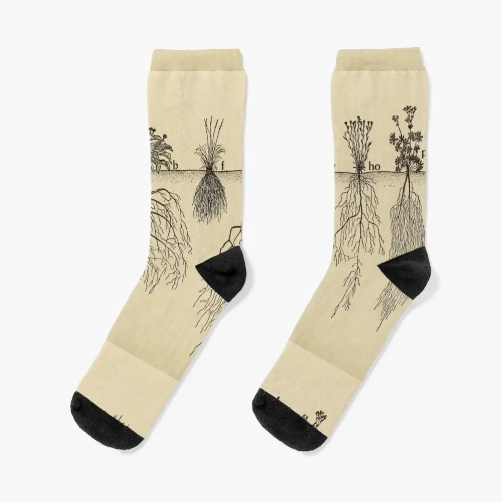 Botanical Roots Socks anime Running heated Socks Ladies Men's