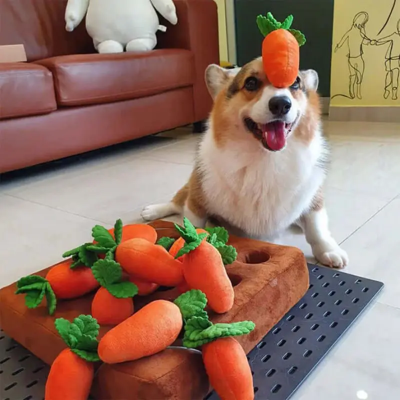 https://ae01.alicdn.com/kf/S8a38367534c94a6ba9929b5befc0cd4bJ/The-Carrot-Farm-Carrot-Farm-Dog-Toy-Creative-Plush-Vegetable-Field-Pull-Radish-Toy-Dog-Interactive.jpg
