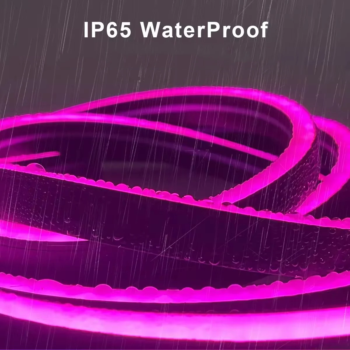 RGB Neon LED Strip Waterproof Flexible Ribbon Tape Neon Lights with App 44key Remote Control for Home Room Outdoor Decoration 5