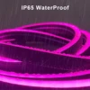 RGB Neon LED Strip Waterproof Flexible Ribbon Tape Neon Lights with App 44key Remote Control for Home Room Outdoor Decoration 5