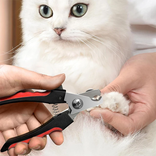 Professional Pet Nail Clipper Stainless Steel Dog Cat Nail Clippers Multifunctional Teddy Cat Stainless Steel Grooming Scissors 6