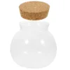 Glass Micro-landscape Ecological Bottle Moss Plant Vase Hydroponic Fish Tank Ornaments Betta (cork (10*11cm) Flower Pot Air 1