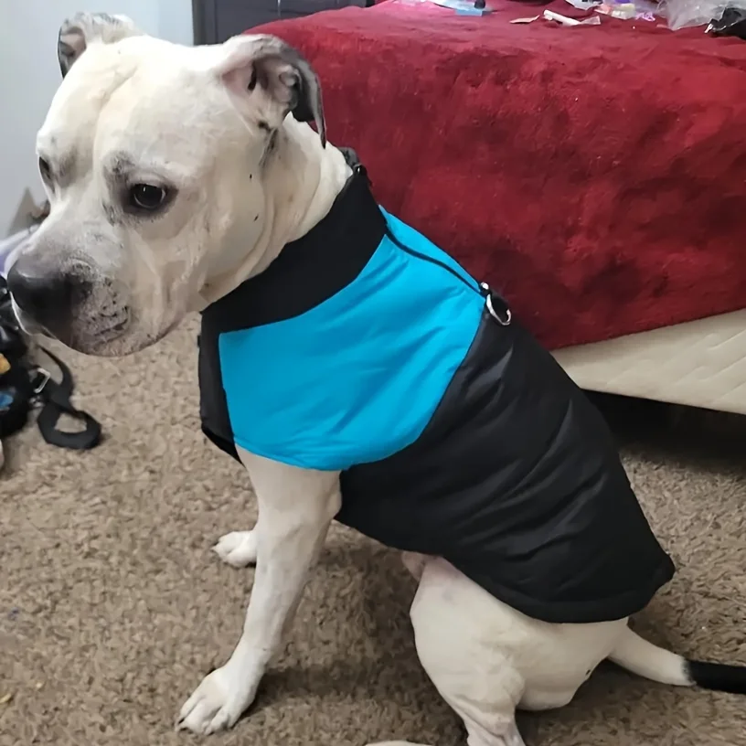 1pc Dog Coat, Autumn And Winter Outfits, Pet Clothes, Dog Down Jacket, Small, Medium And Large Clothing For Cold Weather
