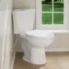 Elongated Corner Toilet, Compact 17.2" Tall Toilet with Comfort Height Toilet Bowl & Dual Flush Tank, Space-Saving Small Toilets 1