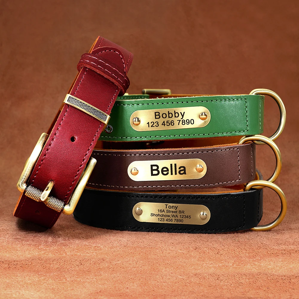 Title 11, Personalized Dog Collar Leash Set Custom Leathe...