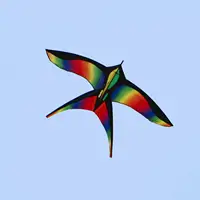 Large Swallow Kite Single Line Vivid for Outdoor Games Activities 2