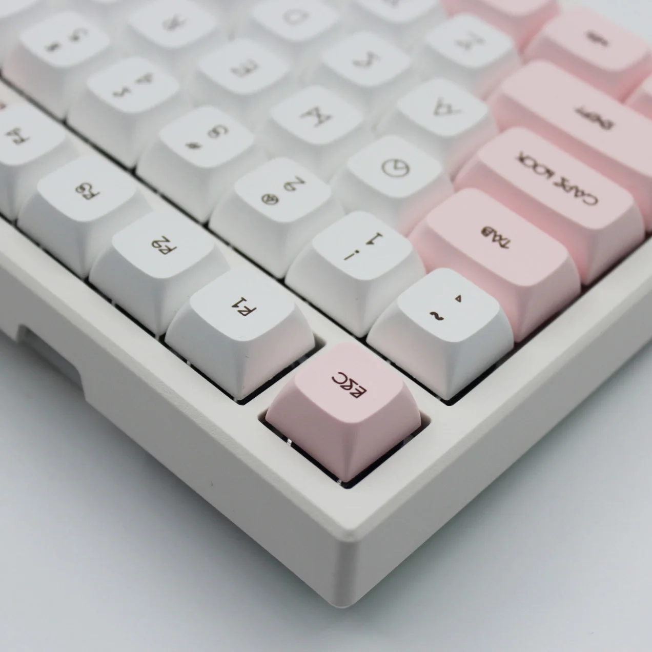 periféricos de computador
