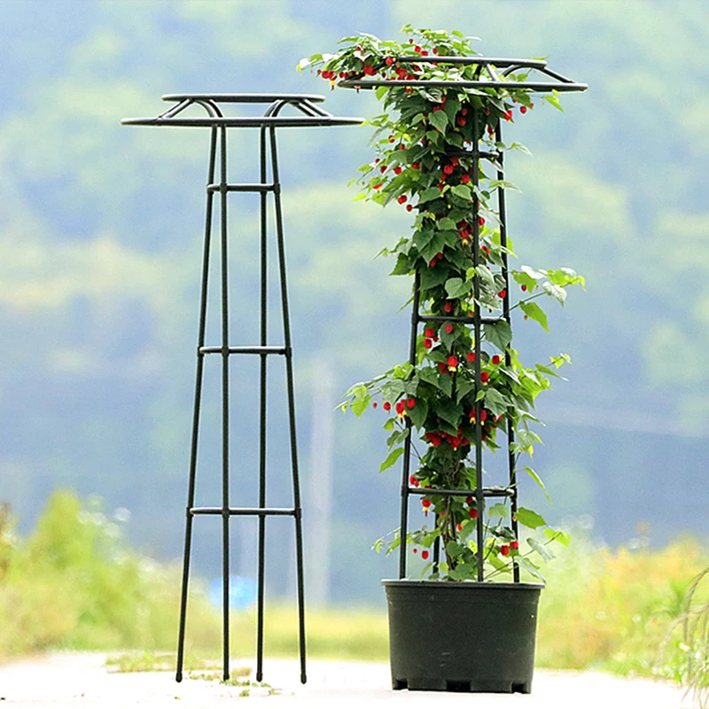 Umbrella Style Flower Trellis Outdoor Climbing Plant Support for Rose or Clematis 14mm Tube Diameter