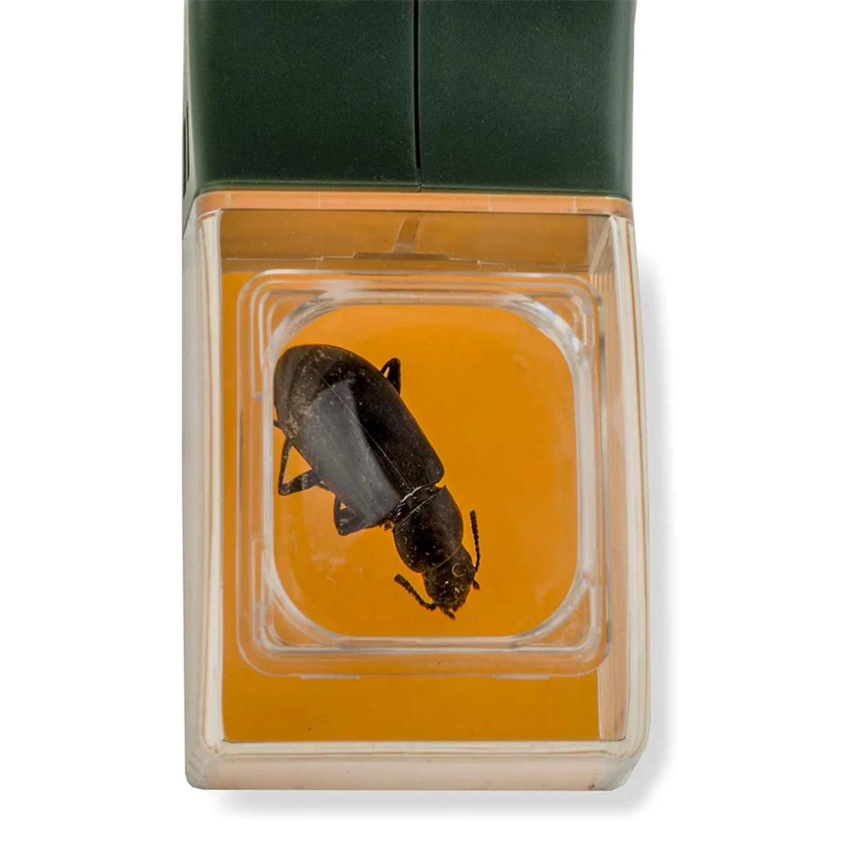 B08B-Upgraded Version of Insect Catcher Handheld Bee Insect Clamp Cockroach Spider Catching Tool with Magnifying Glass