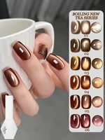 WS Autumn Winter Maillard Caramel Amber Glass Bead Cat Eye Gel Nail Polish Shines High Varnish For Nail Art Design Popular Gift 1