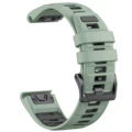 Light green gray